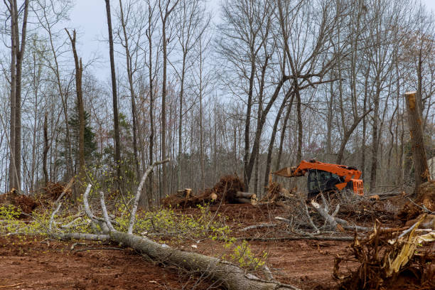 Mulching Services in Daleville, IN